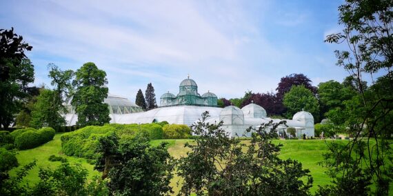 A Visit To The Great Royal Greenhouses Of Laeken - Nourishing Grounds