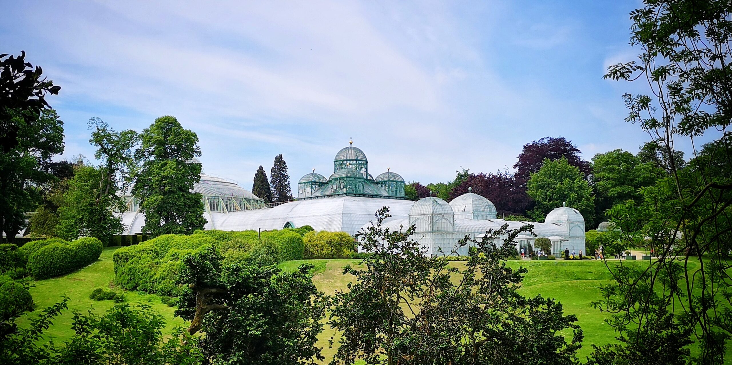A Visit to the Great Royal Greenhouses of Laeken