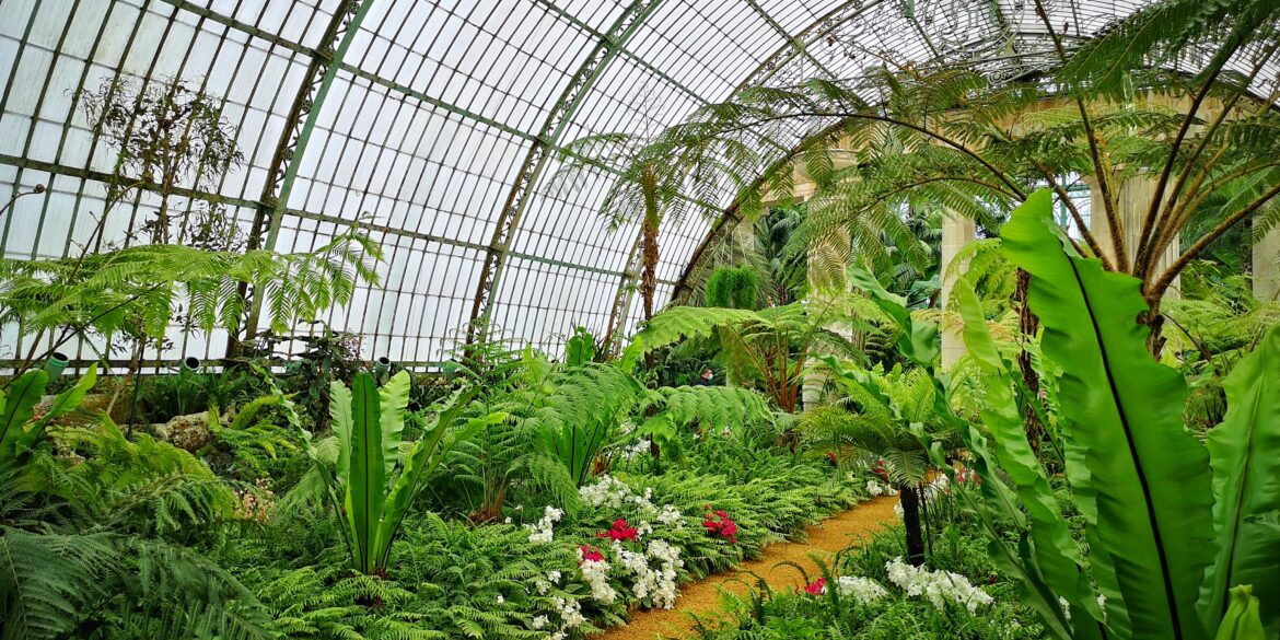 Royal greenhouses of Laeken