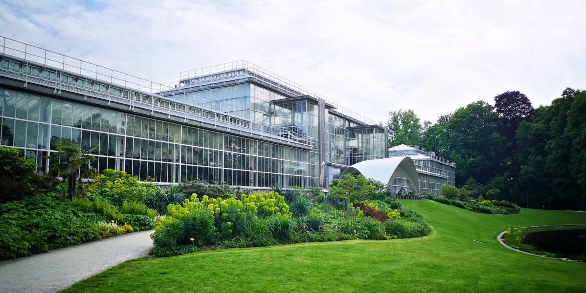 Botanical garden Meise - the big greenhouses