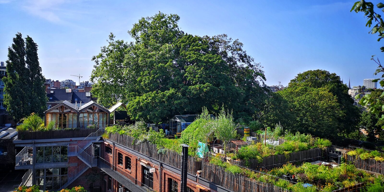 PAKT rooftop garden